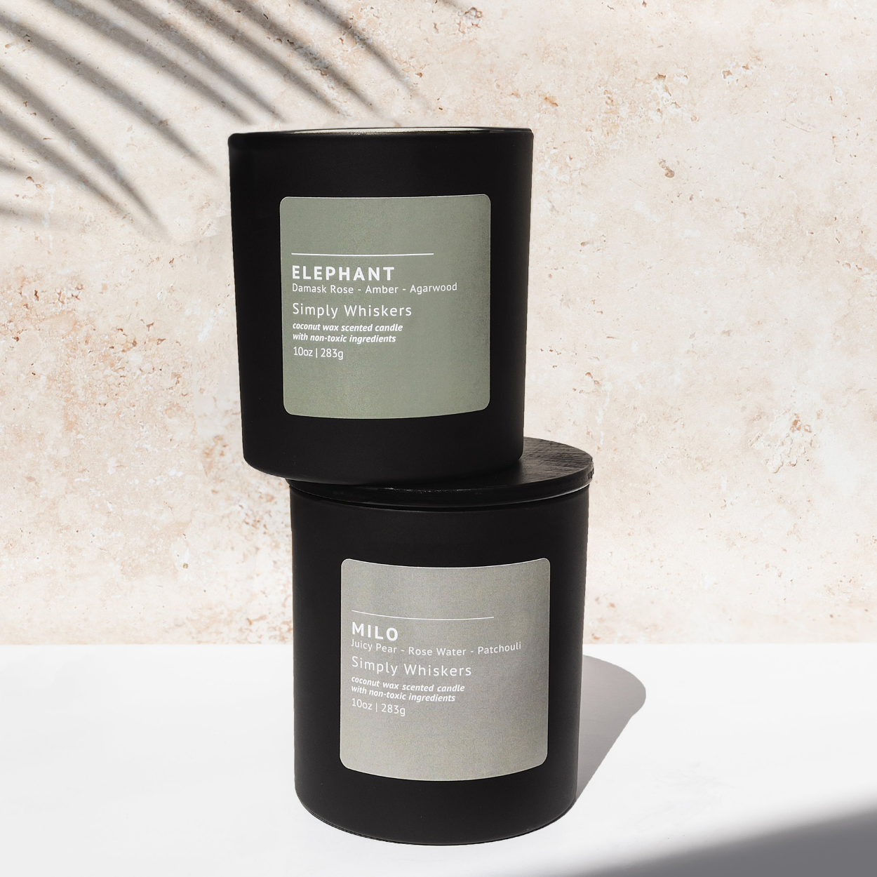 The Pet-Safe Promise: Why Your Candle Should Care for Every Member of the Family